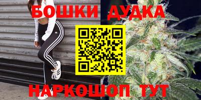 ГАЛЛЮЦИНОГЕННЫЕ ГРИБЫ Кандалакша