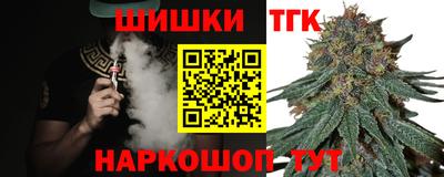 дживик Камышлов