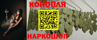 ГАЛЛЮЦИНОГЕННЫЕ ГРИБЫ Кандалакша