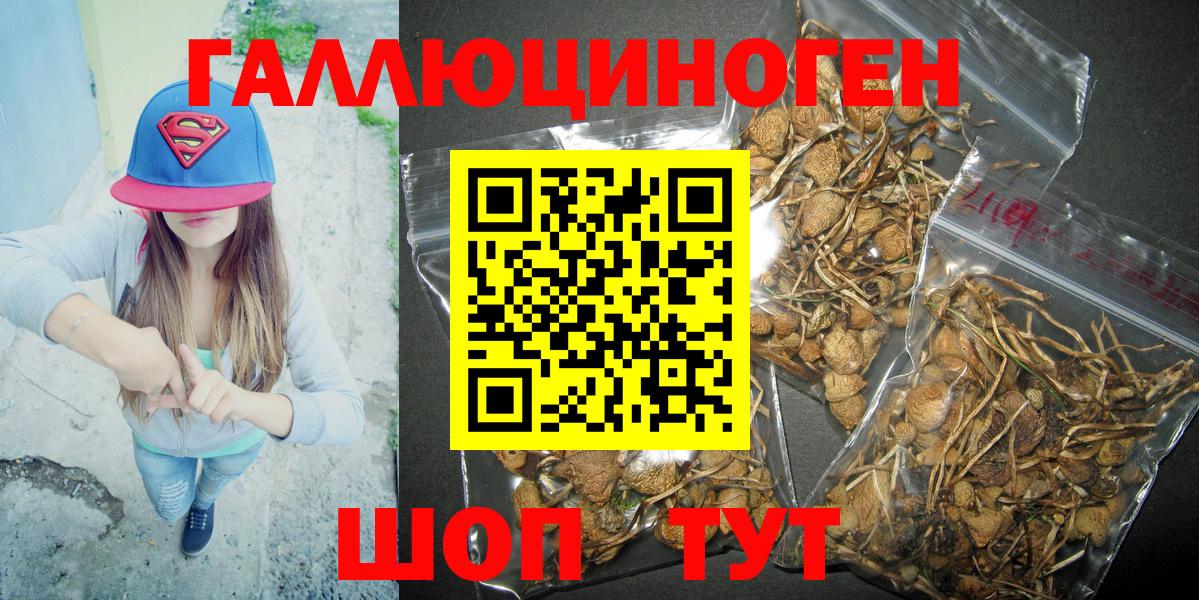 Псилоцибиновые грибы прущие грибы Долгопрудный