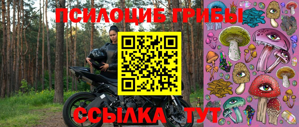 Галлюциногенные грибы Cubensis  Вход с VPN  Долгопрудный  Псилоцибиновые грибы MAGIC MUSHROOMS 